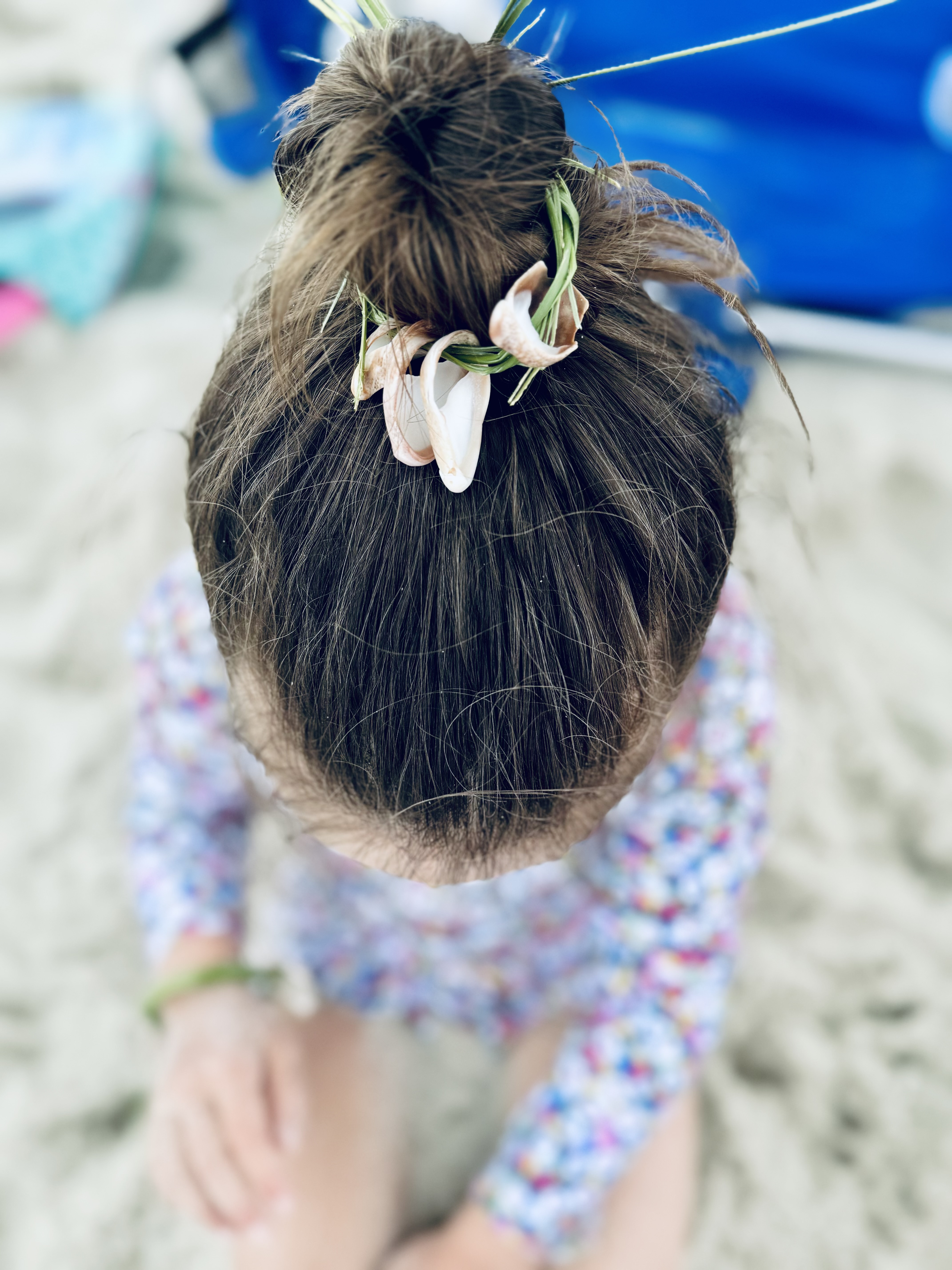 little girl with ocean shells and beach grass in hair on beach in MA. Daughter of Sarah Haugh, LMHC, Therapist, North Shore Professional Therapy Founder