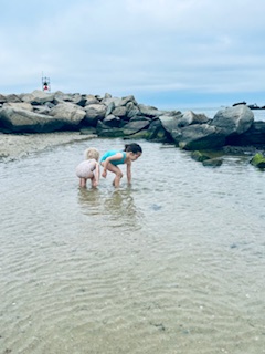 Children mindfully collect shells in the ocean shore, signifying inner peace tools learmed at North Shore Professional Therapy. 01731 33326 01950 01810 02456